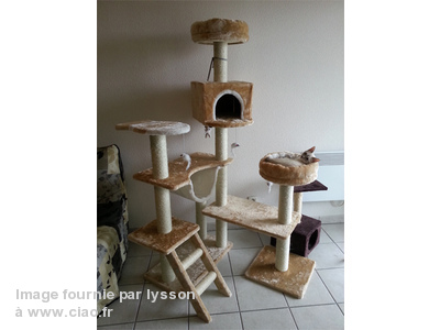 arbre a chat pain d'epice